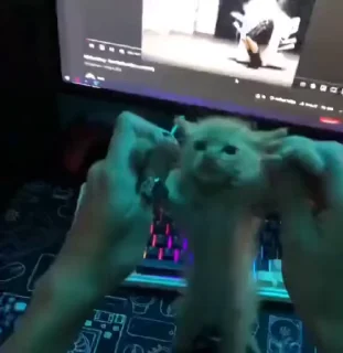 🌟