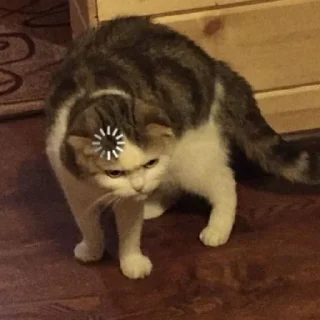 😬