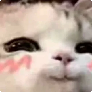 😅