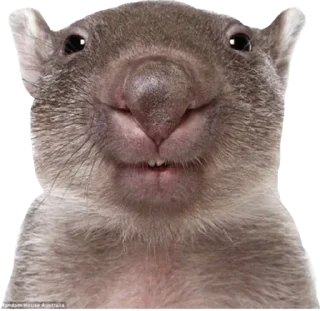 🙂