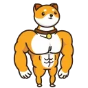 💪