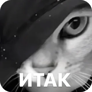 🫥