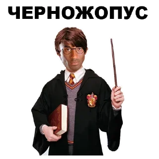 😹