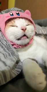 😴