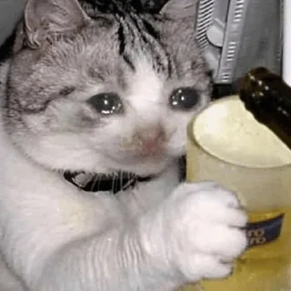🥺