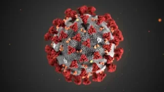 Coronavirus @stickersb2b