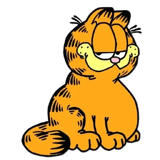 🐱