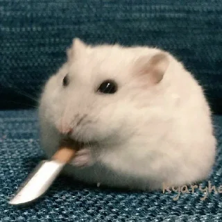 🔪