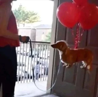 🎈