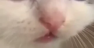 😔