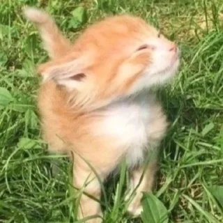 ☺️