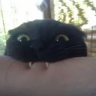 😋