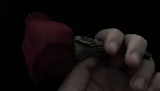 🌹