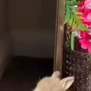 🥛