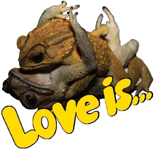 ❤️