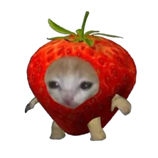🍓