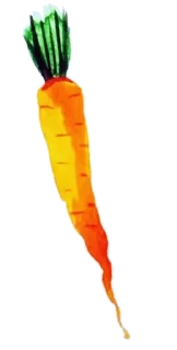 🥕