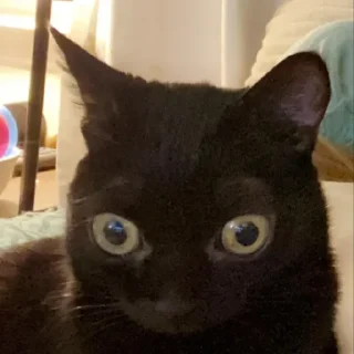 😐