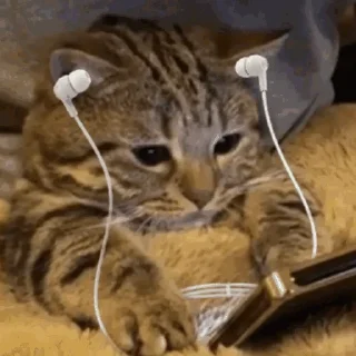 🎧