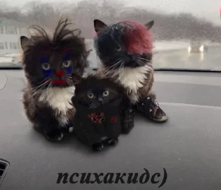 ☠
