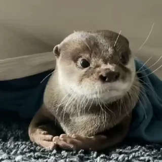 😕