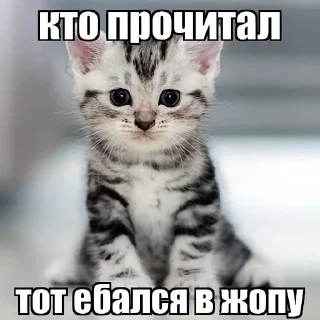 😏