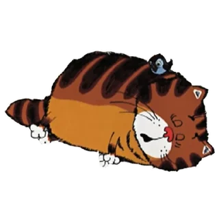 😴