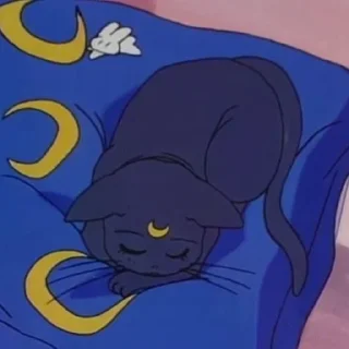 😴