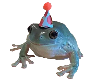 🐸