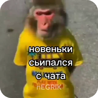 🌟