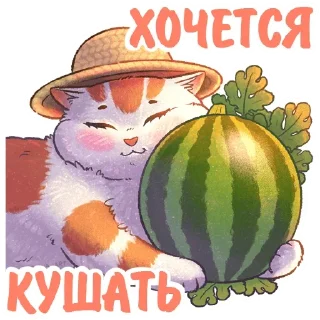 🍉