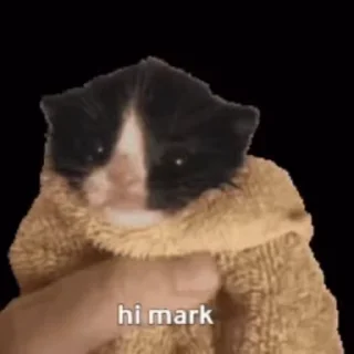 ✋