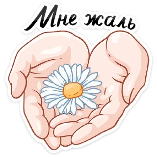 🌻