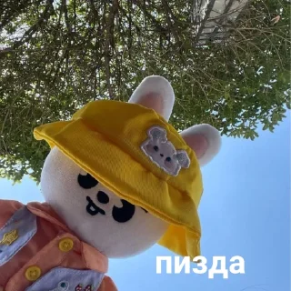 🐰