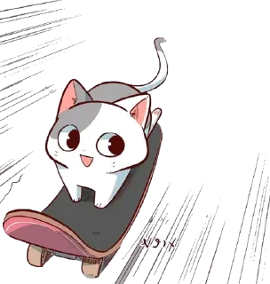 🐈