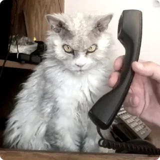 📞