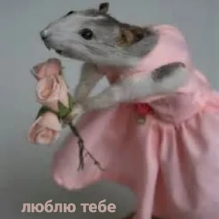 ❤️