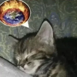 🤩