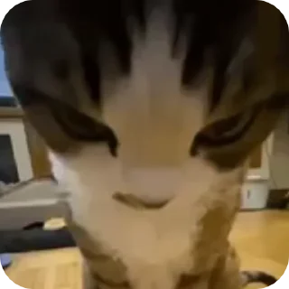 😠