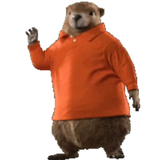 ✋