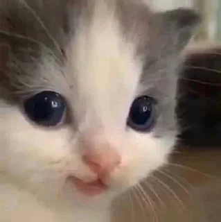 🙂