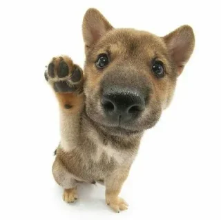 👋