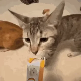 😳