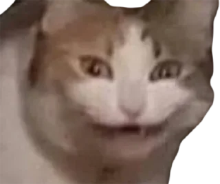 🤨
