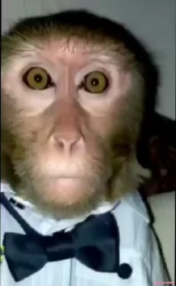 😐