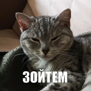 💁‍♀️