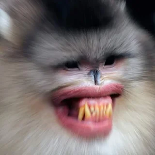 😬