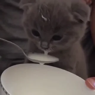 😋