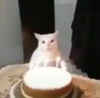 🎉