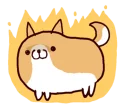 🐶
